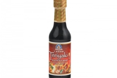 0539_Teryakisauce_HEALTHY_BOY