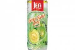 0624_Guavensaft_mit_Fruchtfleisch_JEFI