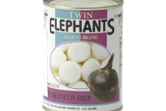 0916_Wasserkastanien_in_Sirup_TWIN_ELEFANTS
