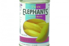 1905_Mangoscheiben_leicht_gezuckert_TWIN_ELEPHANTS