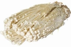 2203_Enoki_Pilze