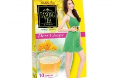 2405_KrДutergetrДnk_Chrysantheme_RANONG