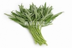 0925_Chin._Morning_Glory