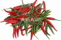 0934_Kleine_grБne__rote_Pfeffer