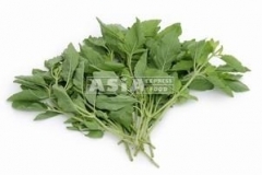 0935_Basil_BlДtter_Kraprao